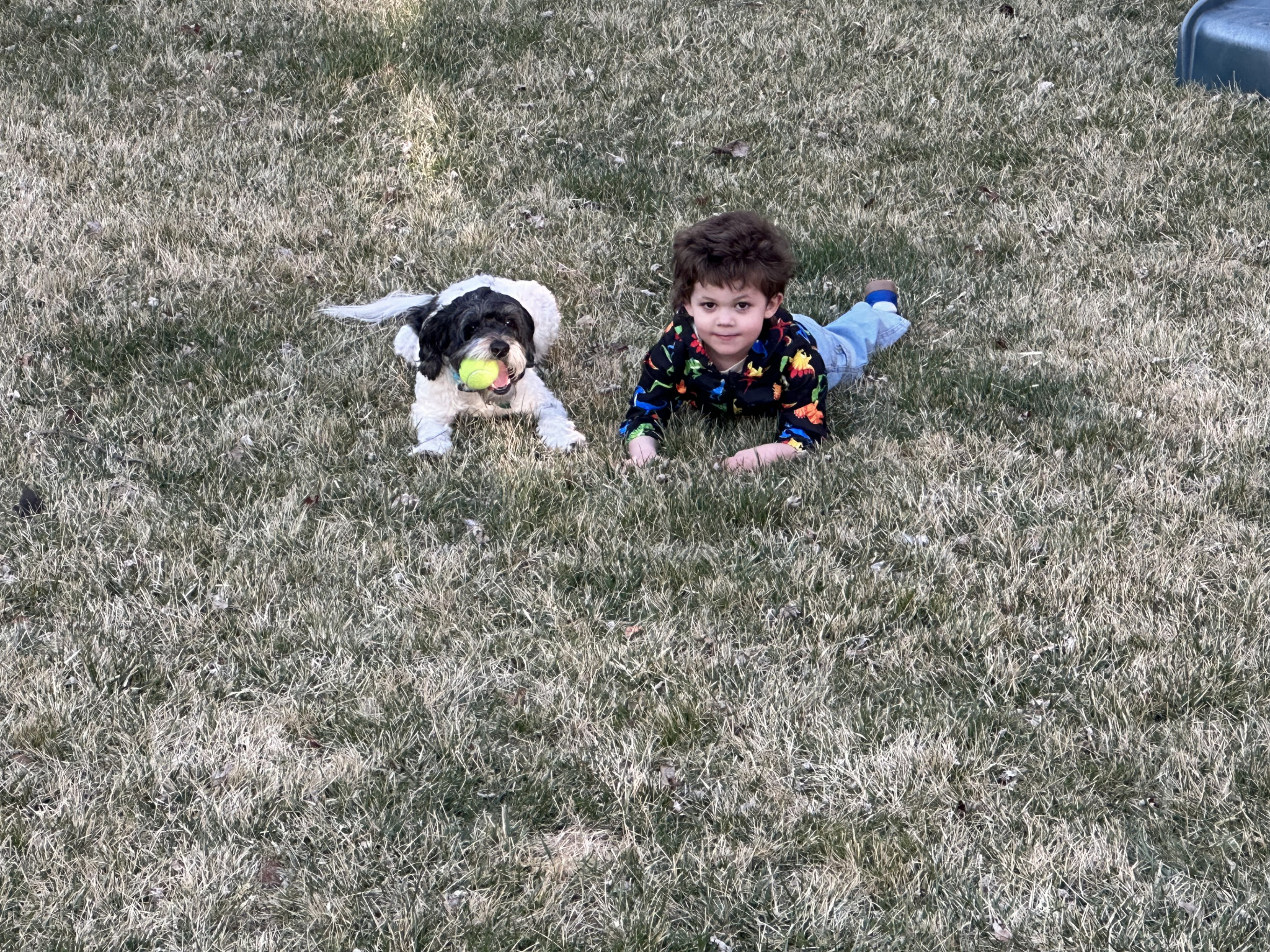 Emmett Junior Ranger