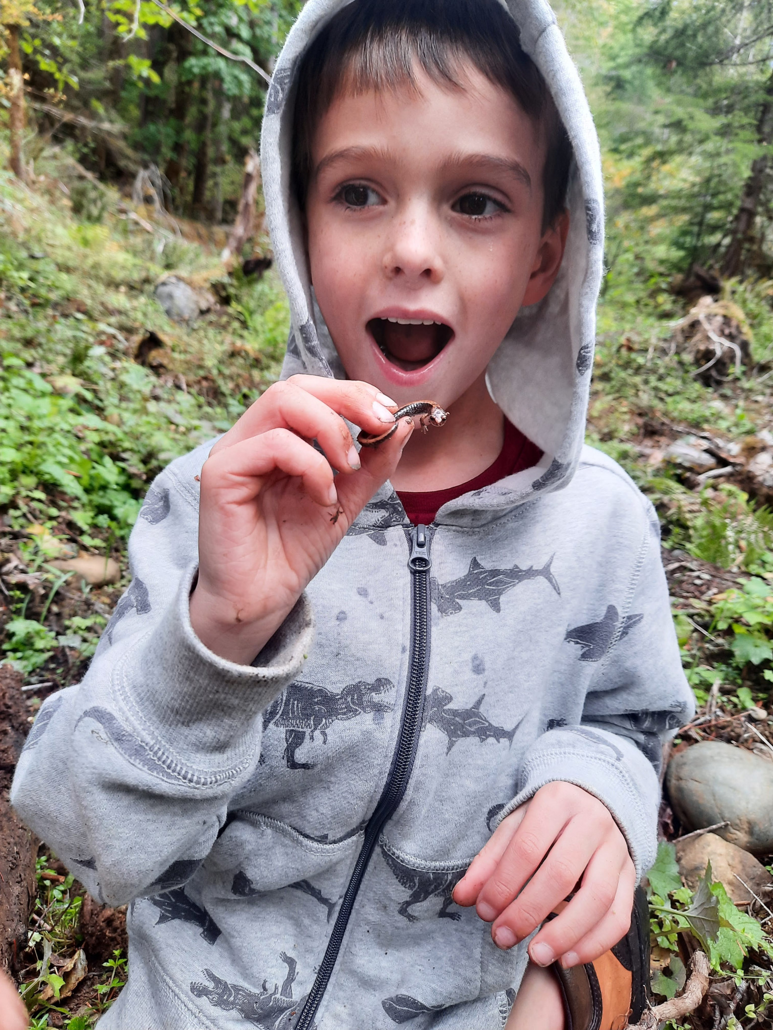 River | Junior Ranger