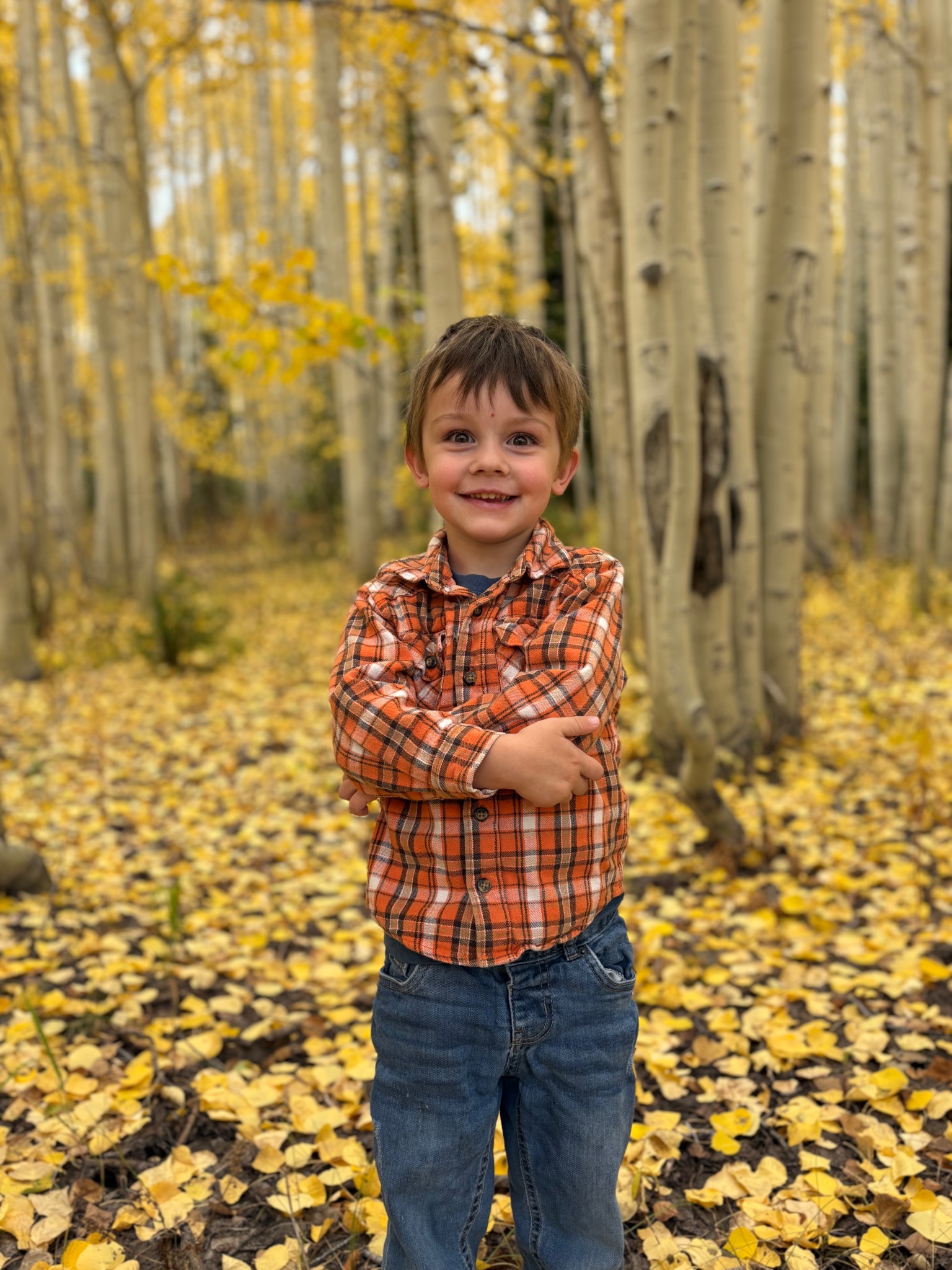 Beau | Junior Ranger