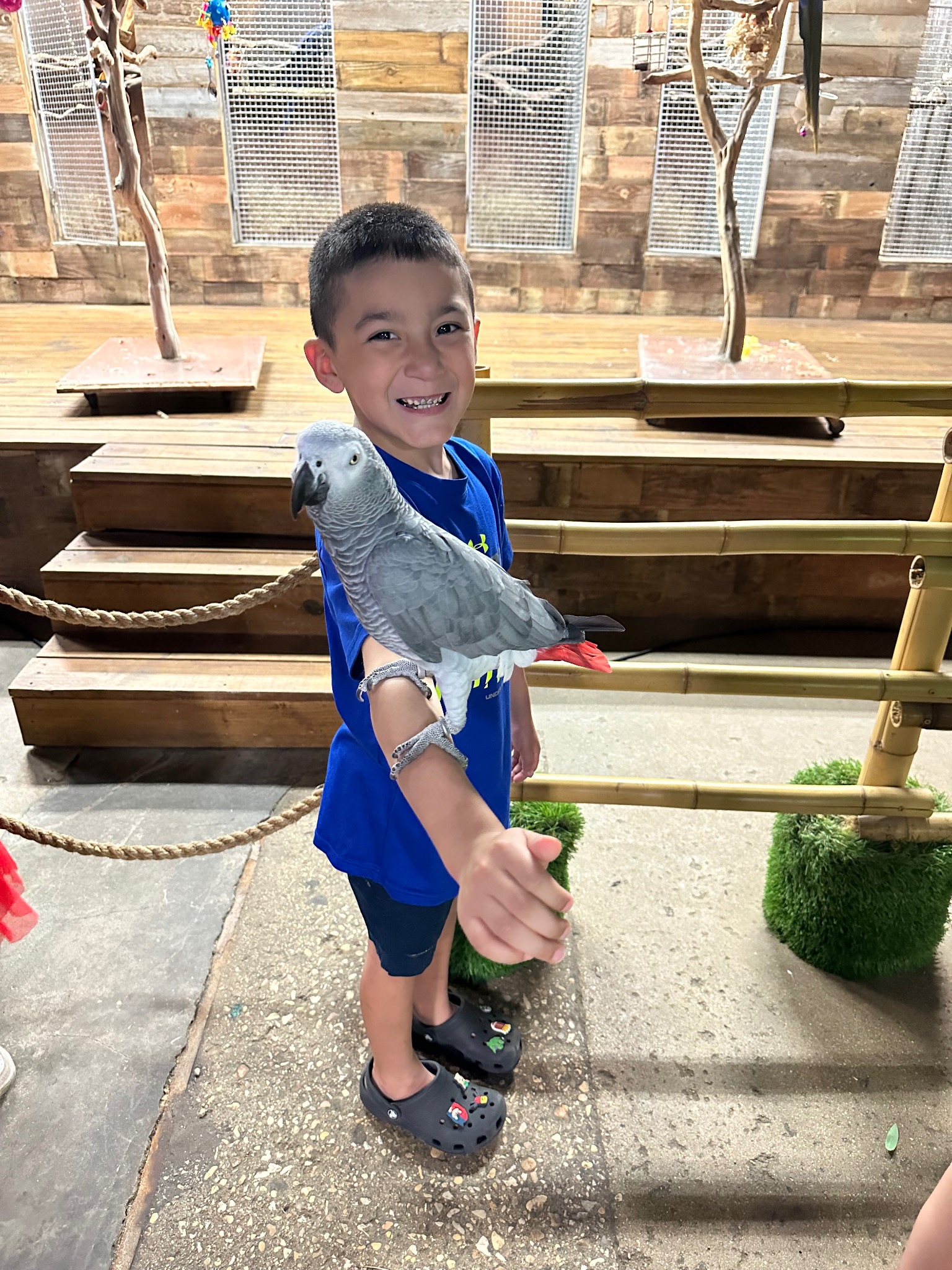 Dominic | Junior Ranger