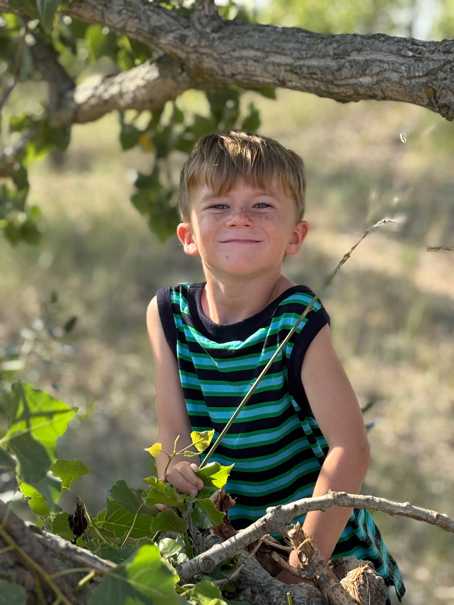 Beau | Junior Ranger