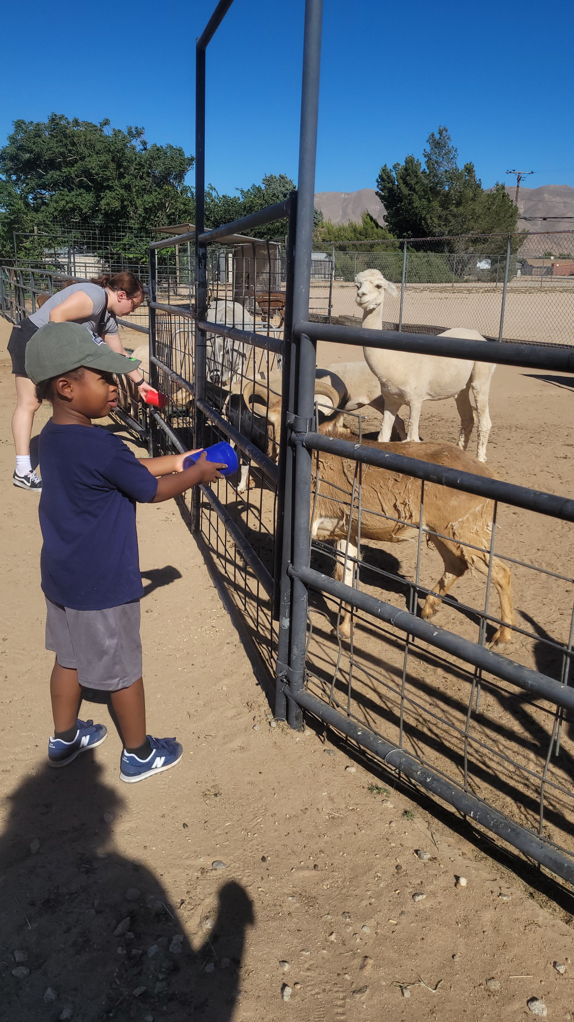 Aiden | Junior Ranger