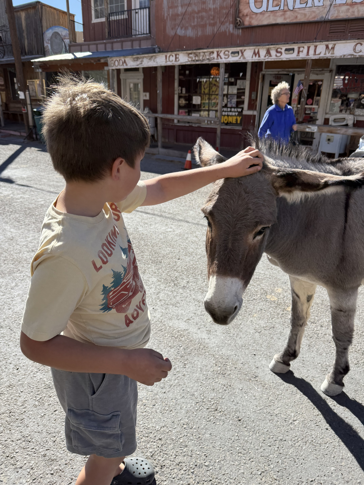 Emmett Junior Ranger
