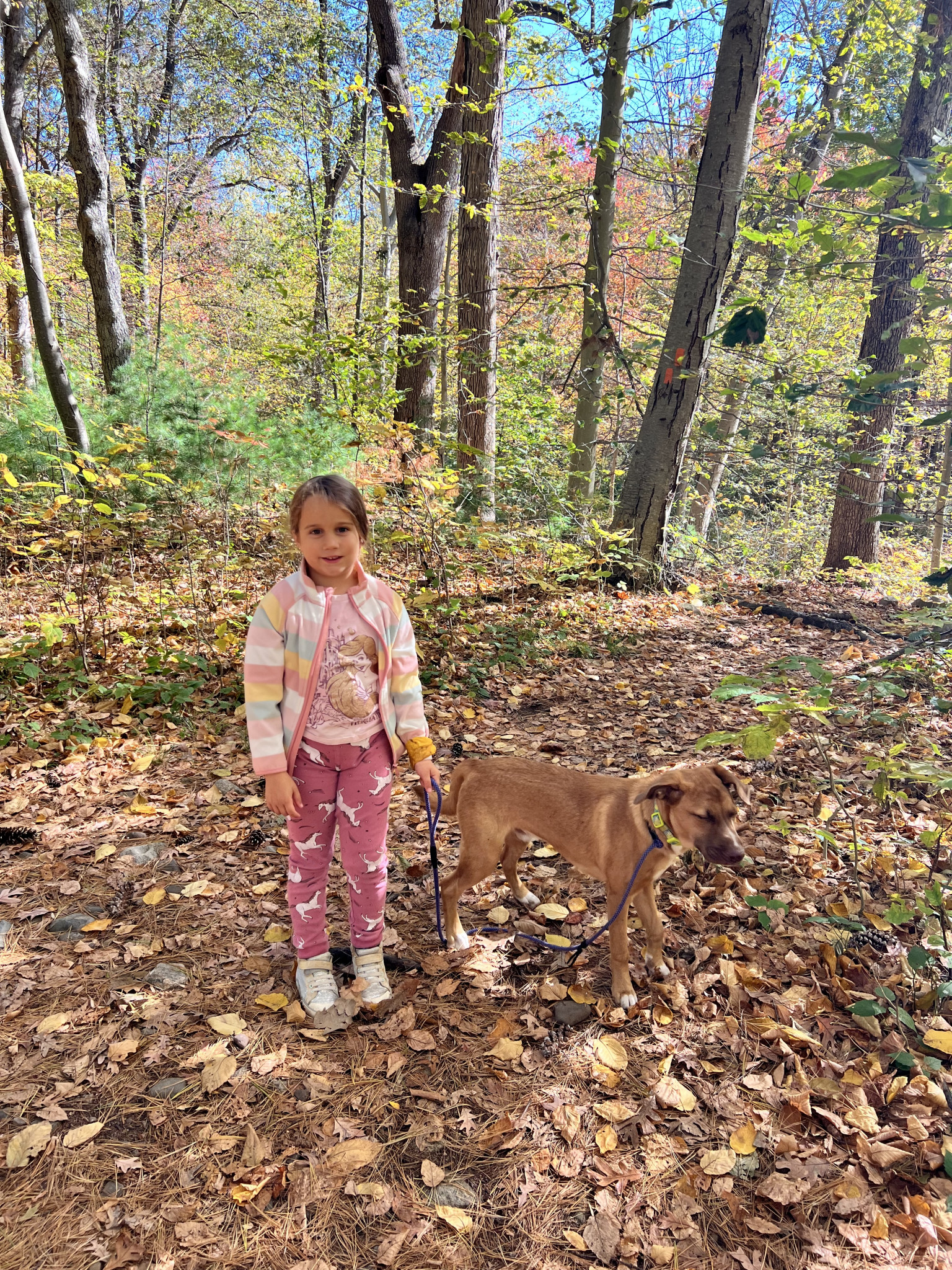 Laura | Junior Ranger