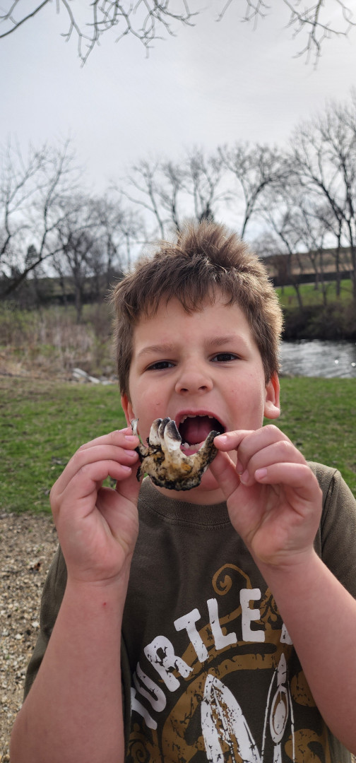 Beau | Junior Ranger