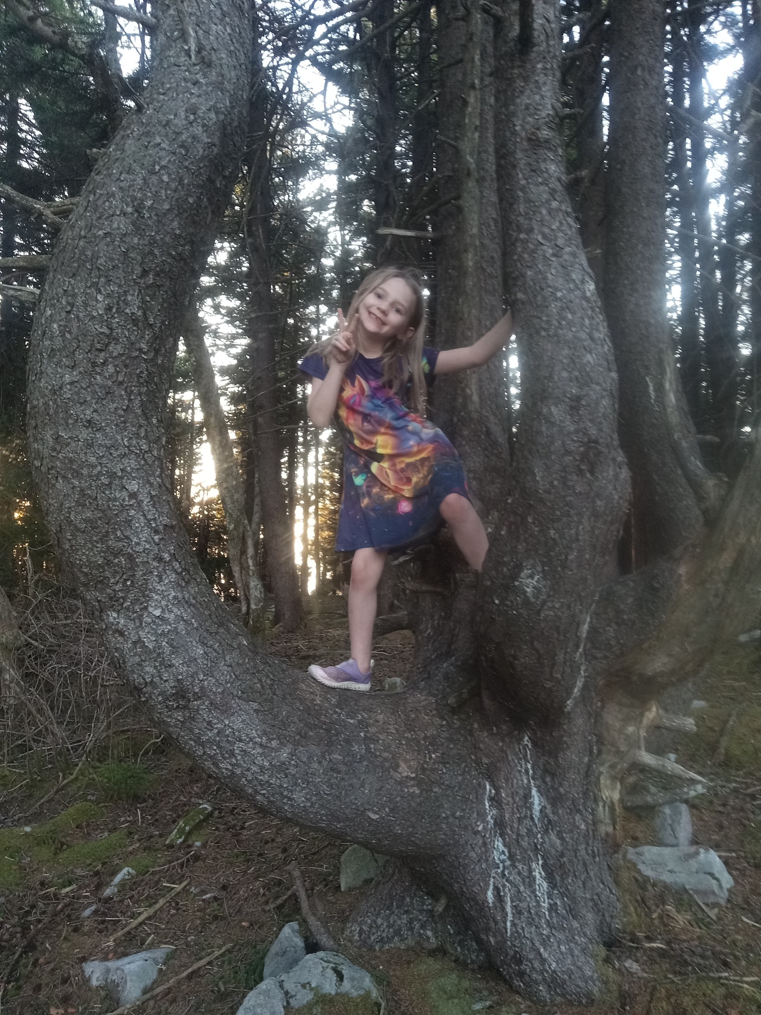 Lilly | Junior Ranger
