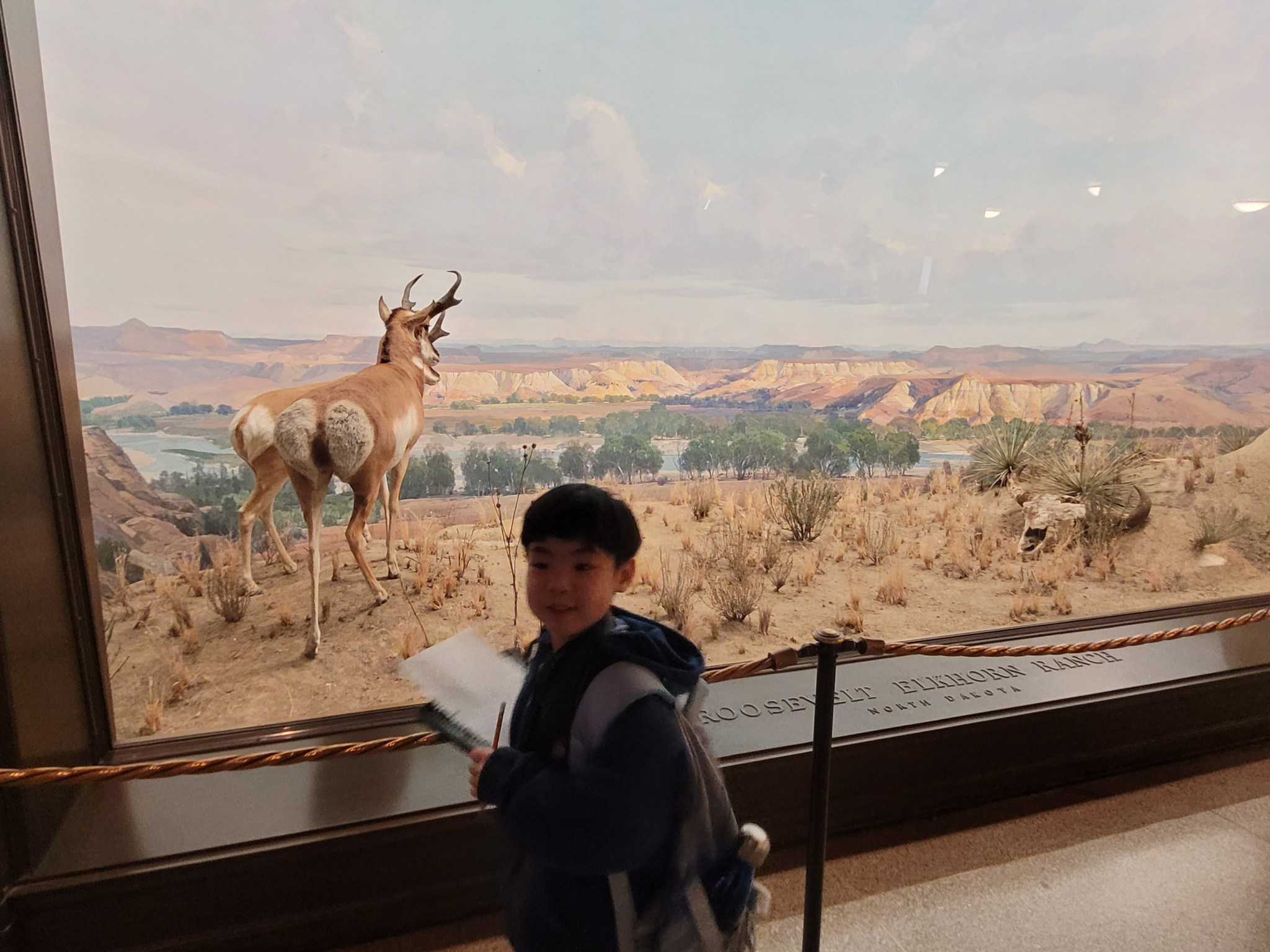 Logan | Junior Ranger